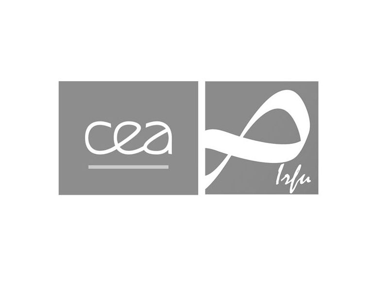 Logo Cea Irfu
